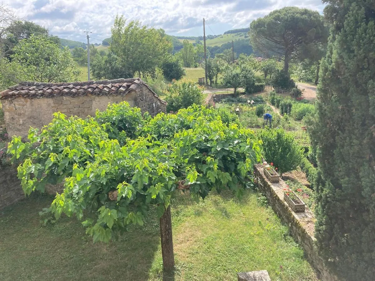 La Ferme Du Paradis Verfeil-sur-Seye